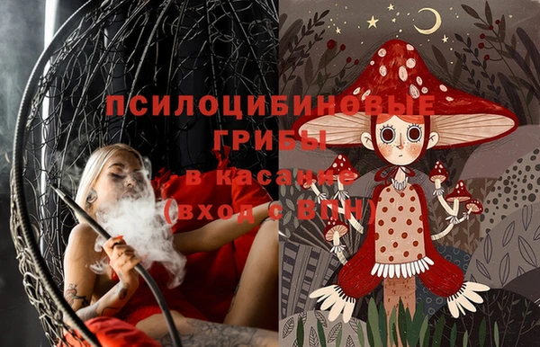 PSILOCYBIN Белоозёрский